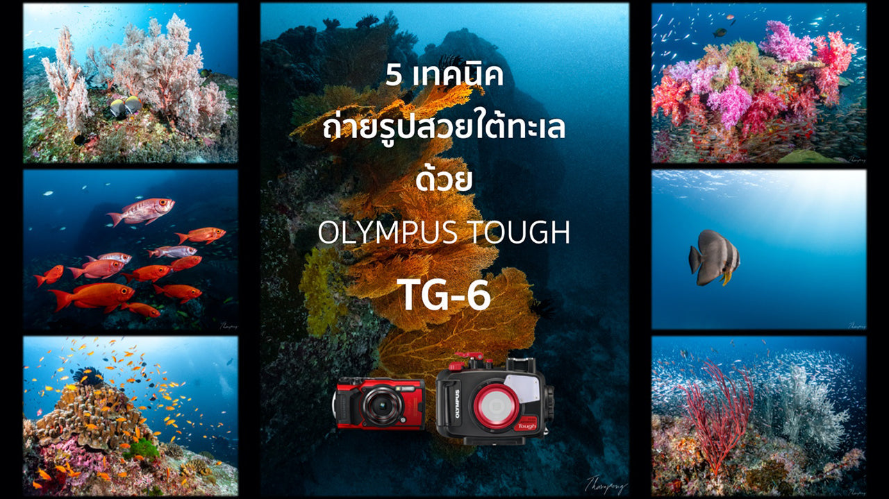 5 เทคนิคถ่ายรูปสวยใต้ทะเลด้วยกล้องคอมแพค OLYMPUS Tough TG-6