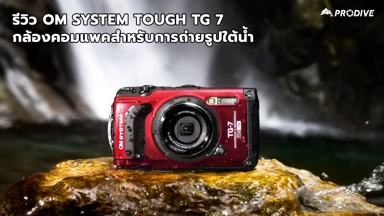 รีวิว OM System Tough TG 7 กล้องคอมแพคสำหรับการถ่ายรูปใต้น้ำ