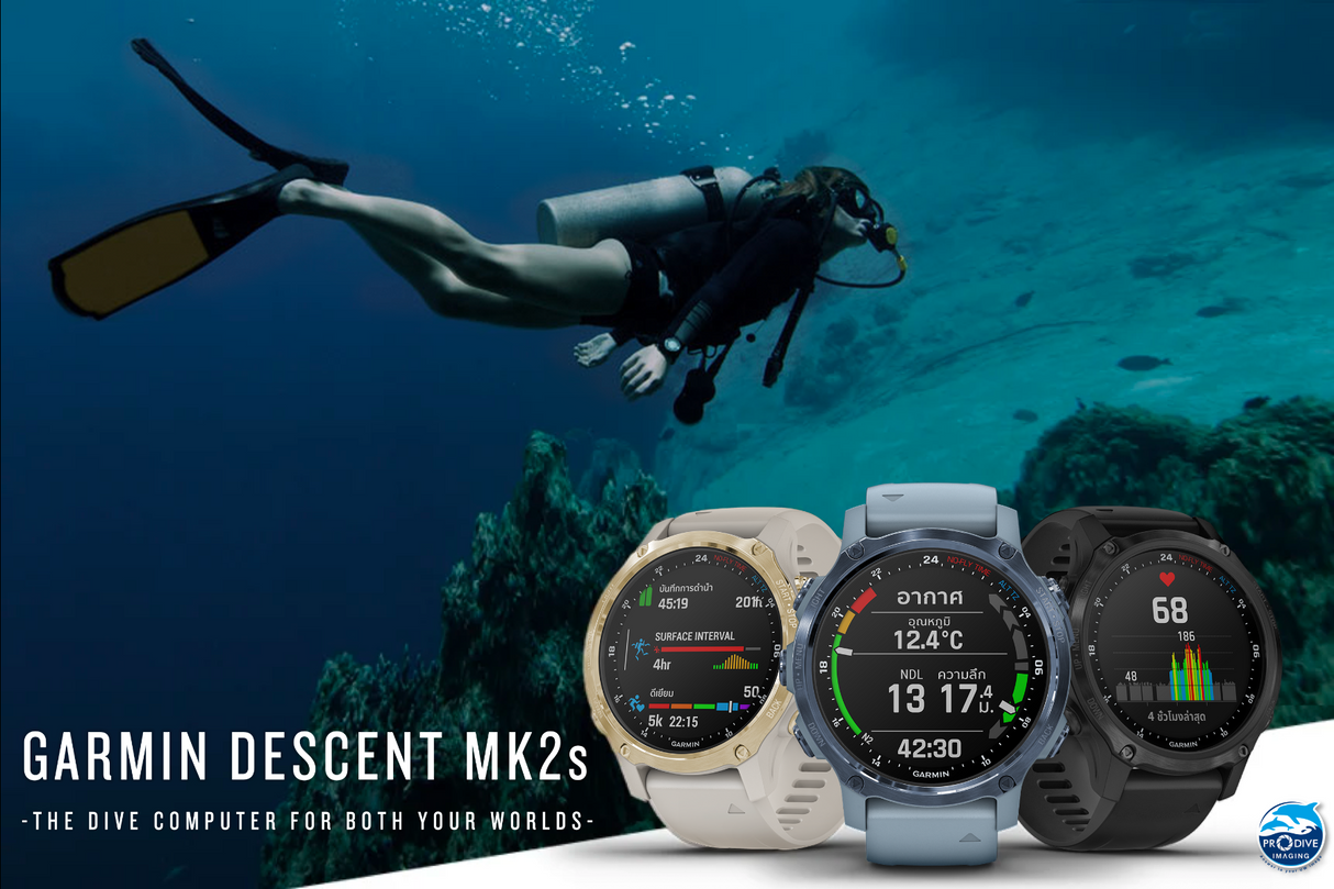 Garmin Descent MK2S Stainless Steel with Silicone Band