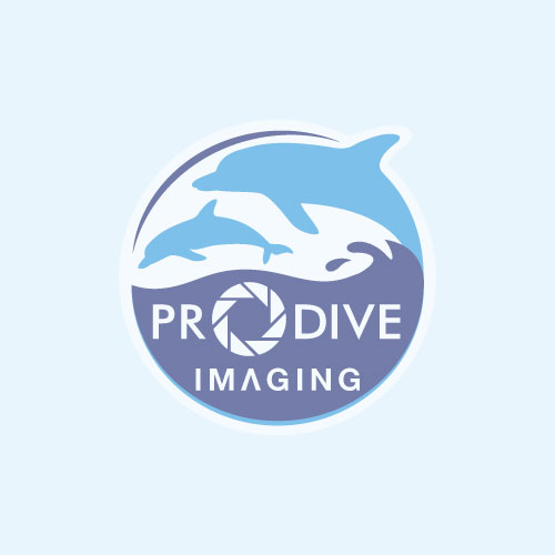 Prodive Imaging Official | NAUTICAM MACRO PORT 60
